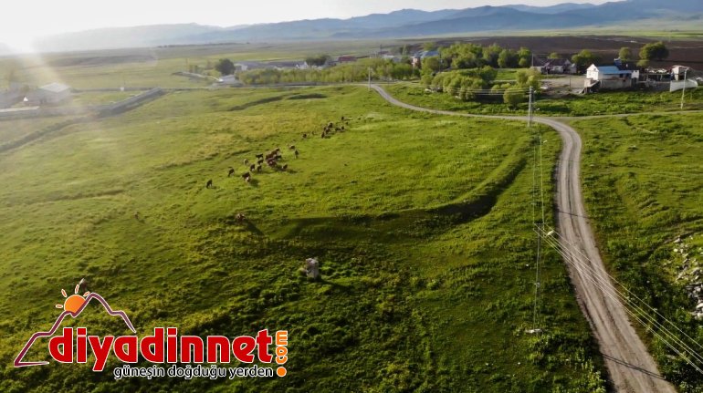 Ağrı, yeşilin tonlarıyla ışık saçtı1