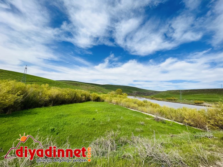 Ağrı, yeşilin tonlarıyla ışık saçtı2