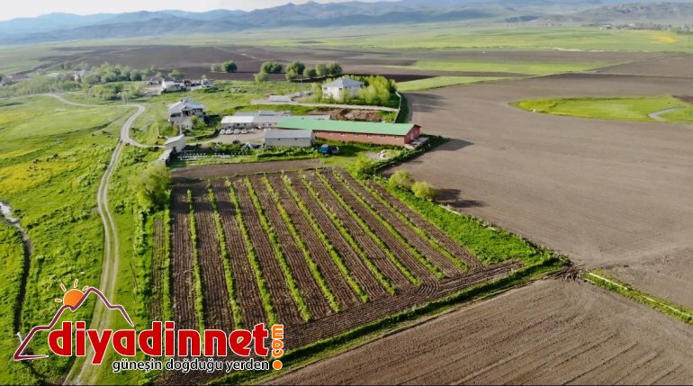 Ağrı, yeşilin tonlarıyla ışık saçtı3