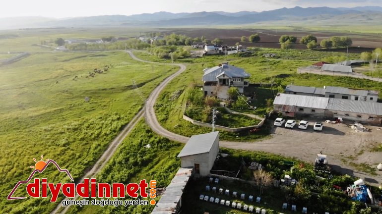 Ağrı, yeşilin tonlarıyla ışık saçtı4