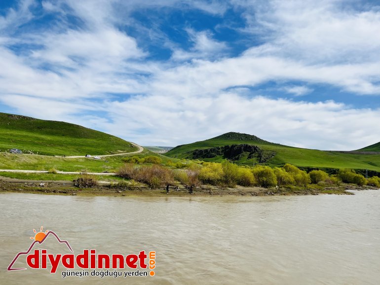 Ağrı, yeşilin tonlarıyla ışık saçtı6