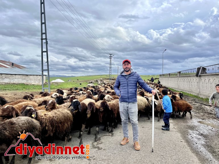 Ağrılı göçerler koyun sürüsüyle yaylaların yolunu tuttu4