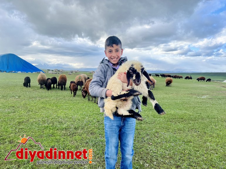 Ağrılı göçerler koyun sürüsüyle yaylaların yolunu tuttu6