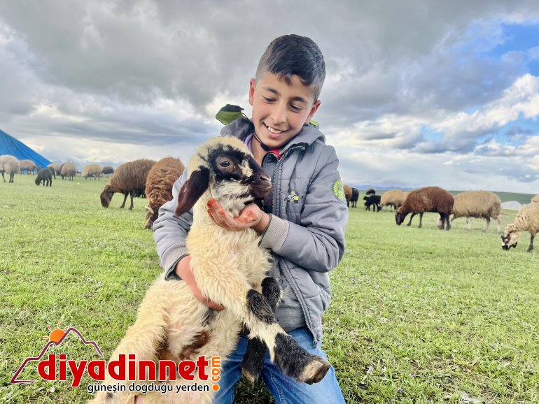 Ağrılı göçerler koyun sürüsüyle yaylaların yolunu tuttu8