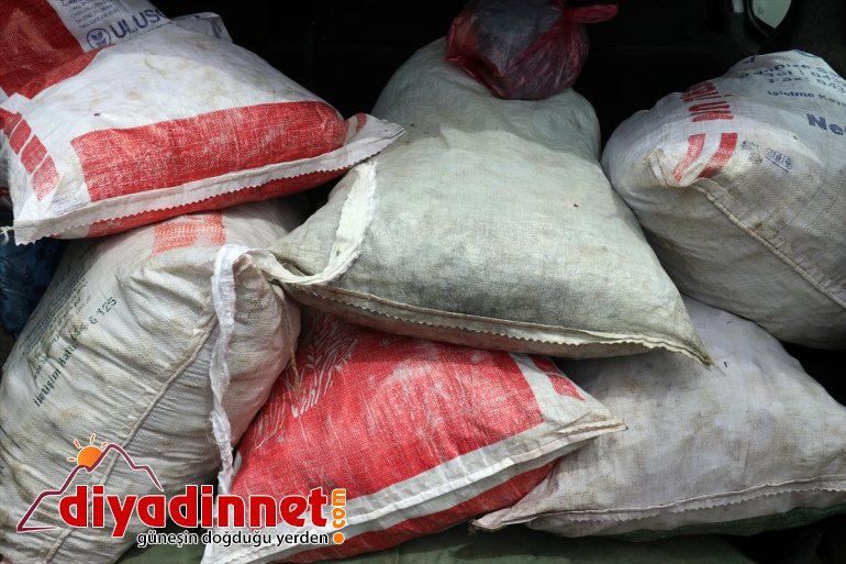 Ağrılıların heliz otu mesaisi başladı12