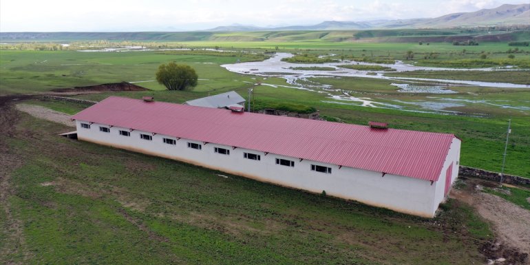 ANKARA - Kimsesiz kişi hastane önünde ölü bulundu1