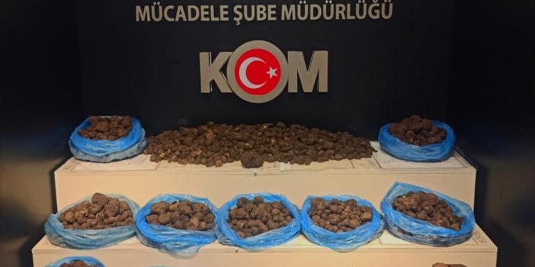 Aracında 97 kilo 500 gram trüf mantarı bulunan şüpheli yakalandı