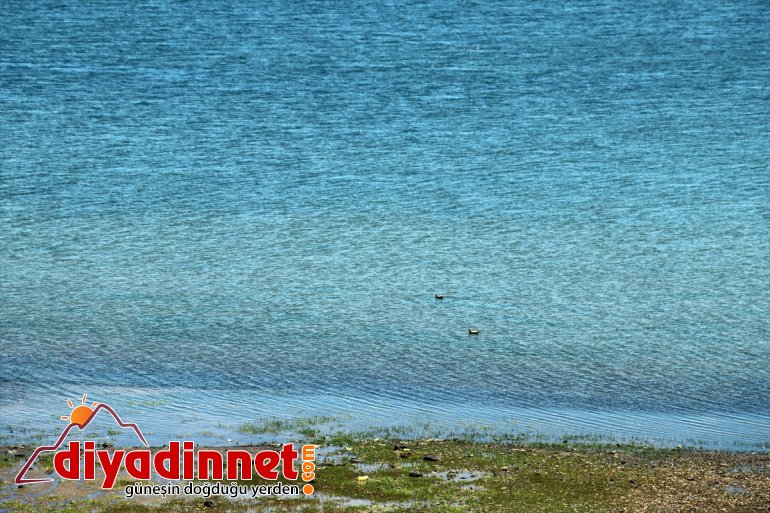 Balık Gölü kar sularıyla doldu