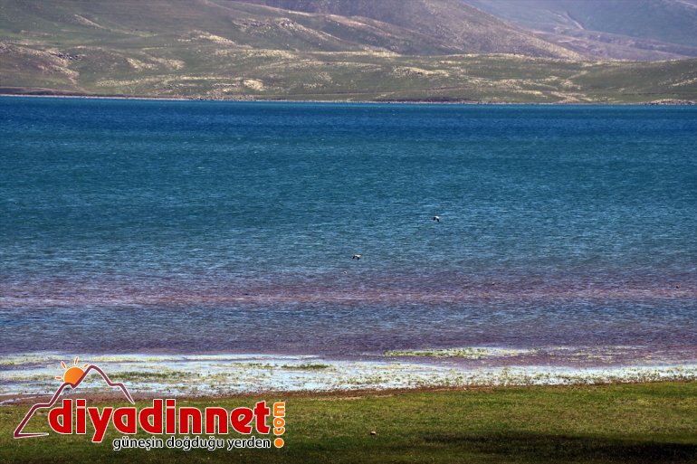 sularıyla kar Gölü doldu Balık 18