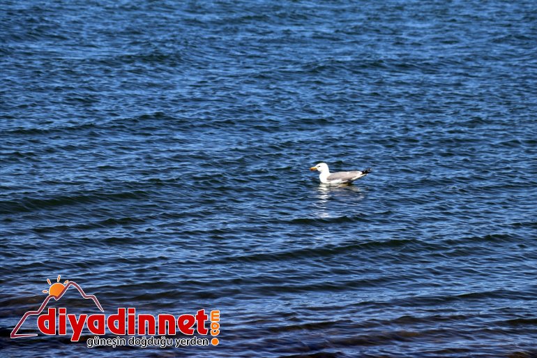 sularıyla kar doldu Gölü Balık 3