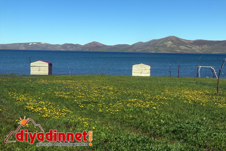 kar sularıyla doldu Gölü Balık 5