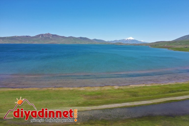 Balık sularıyla doldu Gölü kar 7