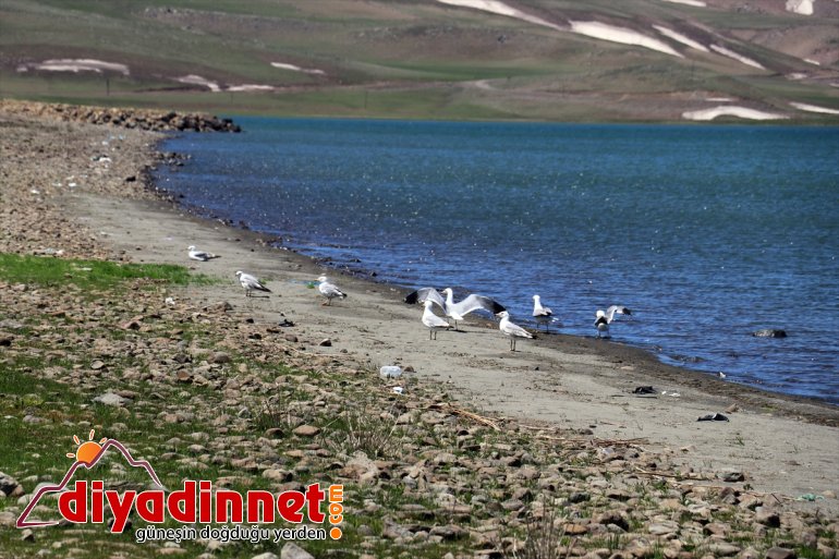 Gölü sularıyla Balık kar doldu 9