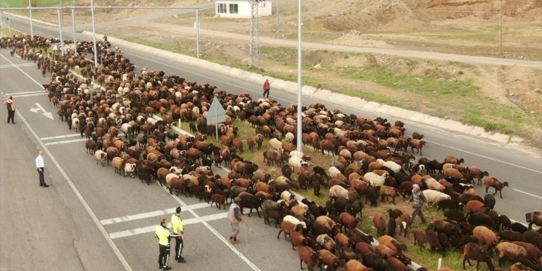 Bingöl'de trafik polisleri, kara yolunda ilerleyen göçerlerin güvenliğini sağladı
