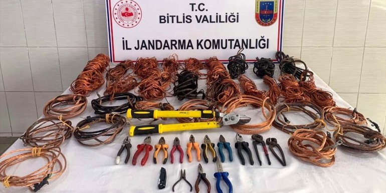 Bitlis'te hırsızlık yaptıkları iddia edilen 8 zanlı yakalandı