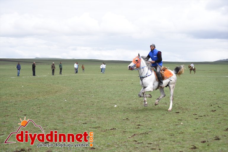 koşturdu at ovada Ciritçiler yeşil bu kez 1