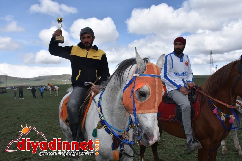 kez yeşil at bu Ciritçiler koşturdu ovada 2