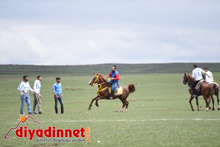 kez yeşil at koşturdu ovada bu Ciritçiler 14