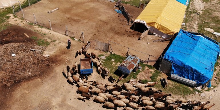 ELAZIĞ - Devletten aldığı hibeyle sürü sahibi olan kadın, köye yerleşti1