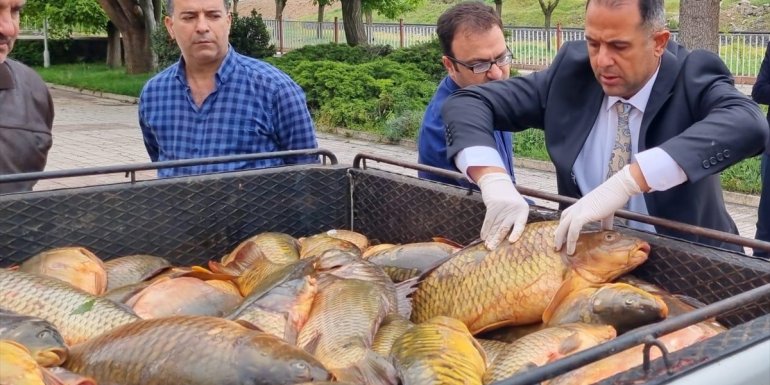 Elazığ'da kaçak avlandığı belirlenen 500 kilogram balık ele geçirildi