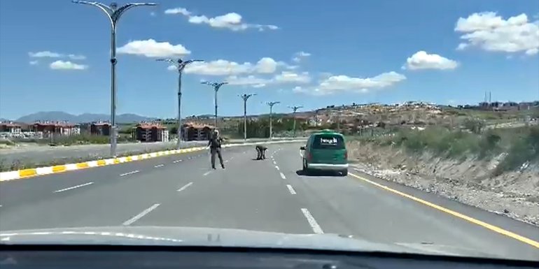 Elazığ'da polisin bir kaplumbağanın yolun karşısına geçmesine yardım etmesi kameraya yansıdı