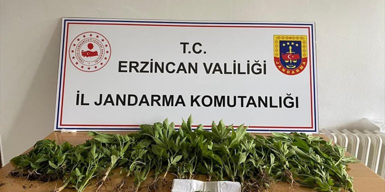Erzincan'da uyuşturucu operasyonunda esrar ve kenevir ele geçirildi