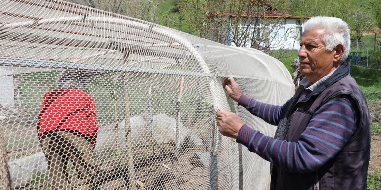 Denizden çıkarılan "hayalet ağlar" köylüleri bahçe nöbetinden kurtardı