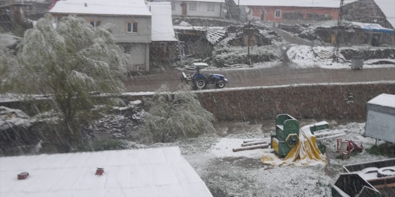 Erzurum'da 3 bin rakımlı mahalle mayısta yağan karla beyaza büründü