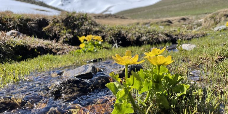 Erzurum dağlarında kar, ovasında bahar renkleri hakim1