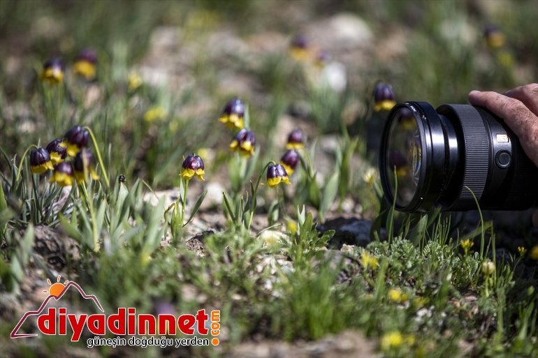 foto safari Kopuz eşliğinde ERZURUM - 3