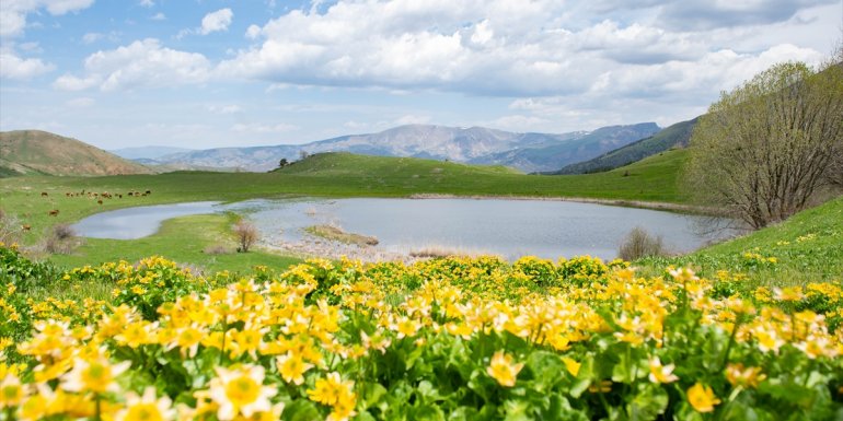 Erzurum'un ilçeleri ilkbahar güzelliğiyle fotoğraf tutkunlarını ağırlıyor