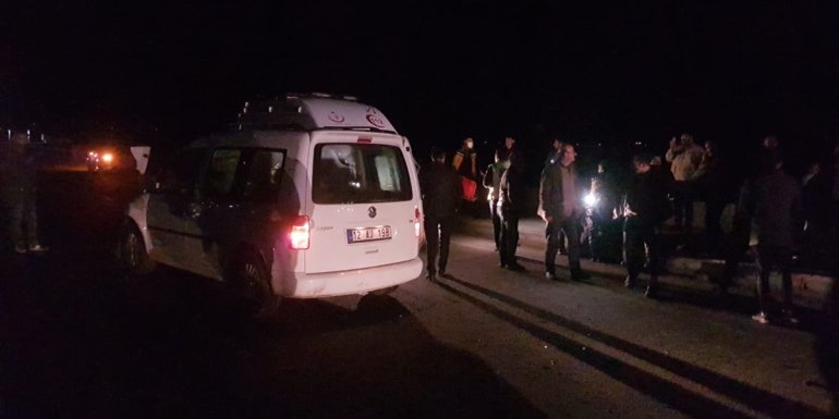 Hafif ticari aracın sürüye çarpması sonucu 6 kişi yaralandı, 50 koyun telef oldu