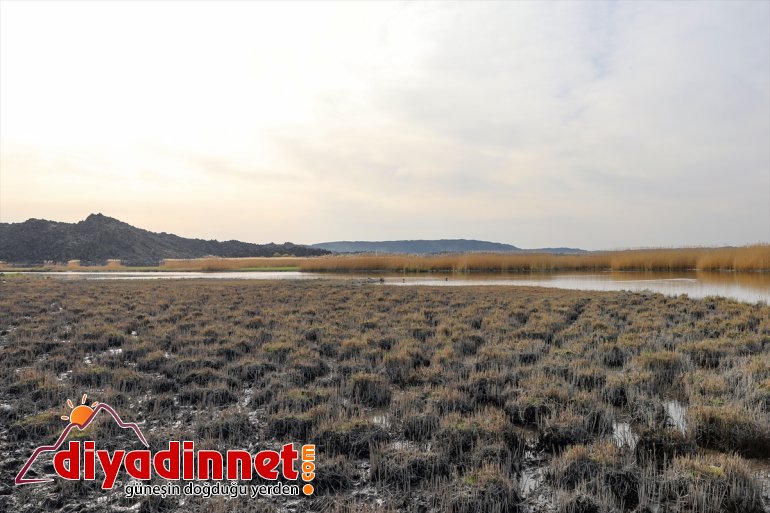 renkleniyor Parkı hayvanlarıyla Ağrı yaban türlerden ilkbaharda - farklı IĞDIR Dağı Milli 4