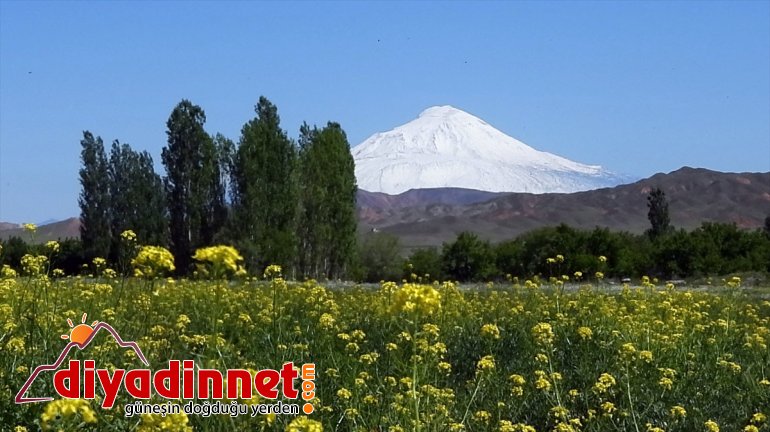 Ağrı Dağı'nın zirvesi mayısta beyaza büründü
