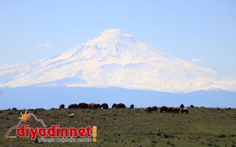 Ağrı IĞDIR Dağı