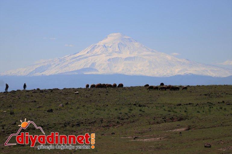 Ağrı mayısta beyaza Dağı