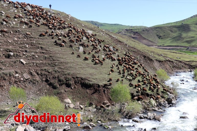 Iğdır'dan Ağrı yaylalarına göçerlerin yolculuğu başladı