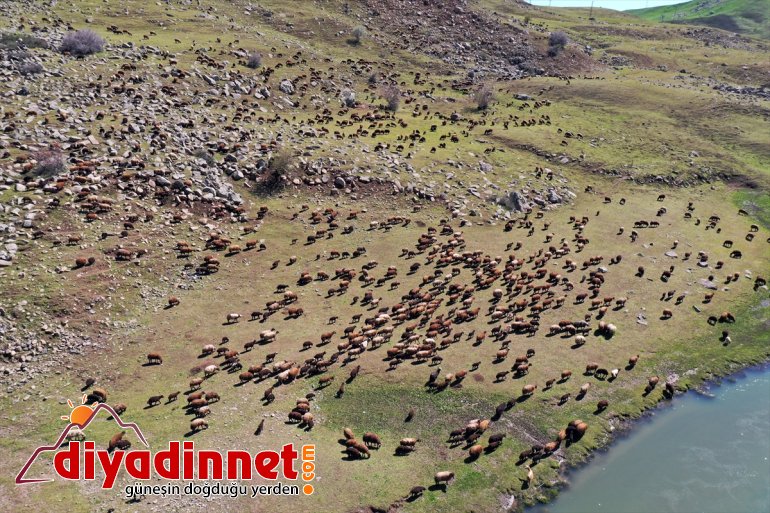 başladı yolculuğu Ağrı Iğdır