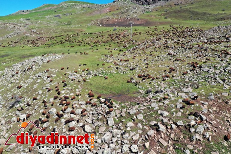 göçerlerin Iğdır