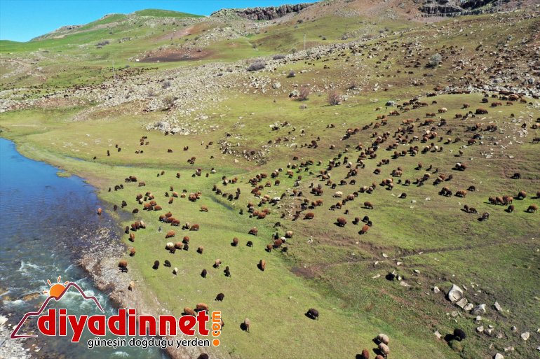 başladı göçerlerin Iğdır