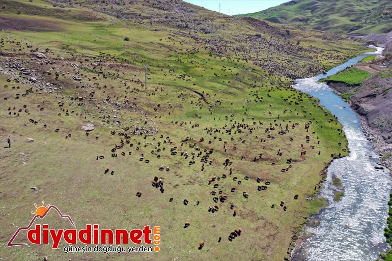 yolculuğu göçerlerin başladı Ağrı Iğdır