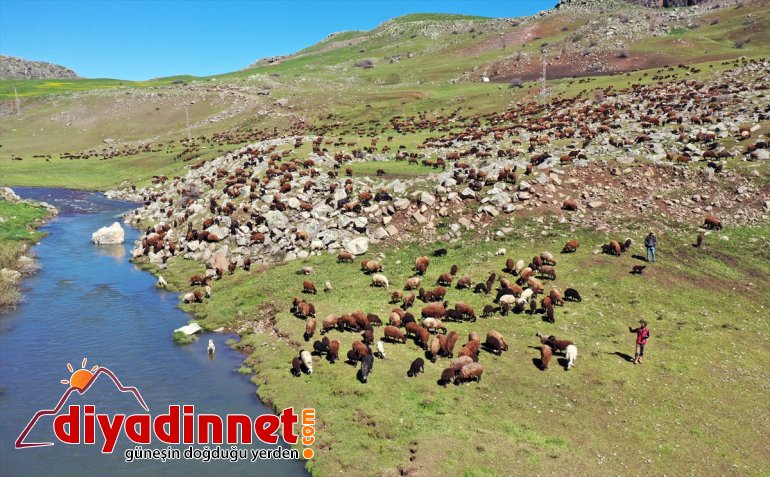 Ağrı göçerlerin Iğdır