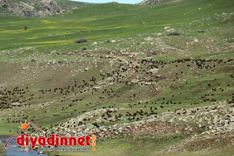 göçerlerin Ağrı yolculuğu Iğdır