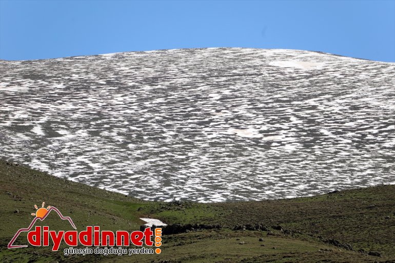 ile Iğdır erimeye karlar devam dağlarda ediyor Ağrı sınırındaki 3