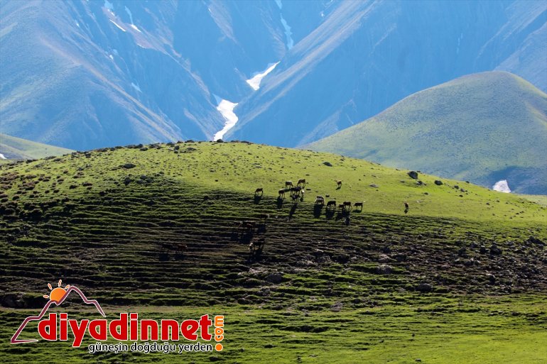 karlar Iğdır dağlarda sınırındaki Ağrı ile ediyor erimeye devam 9