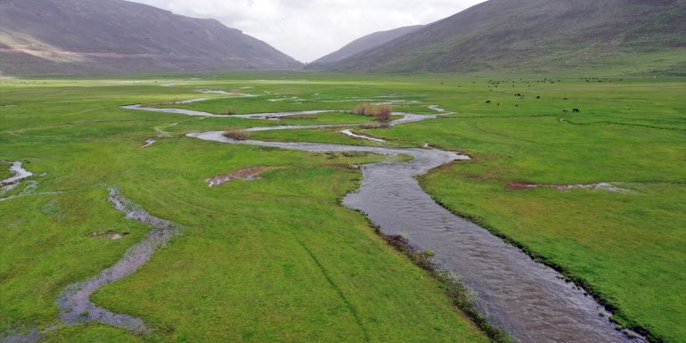 IĞDIR - Ünlendi mendereslerinde ilkbahar güzelliği1