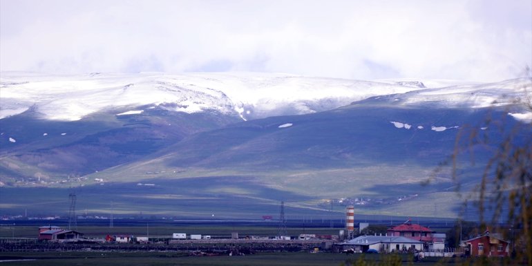 İlkbaharın son ayında yağan kar, Ardahan