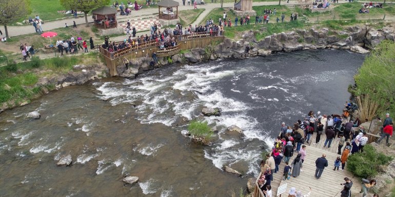 İnci kefallerinin tatlı sulara göçüne binlerce kişi tanıklık ediyor1
