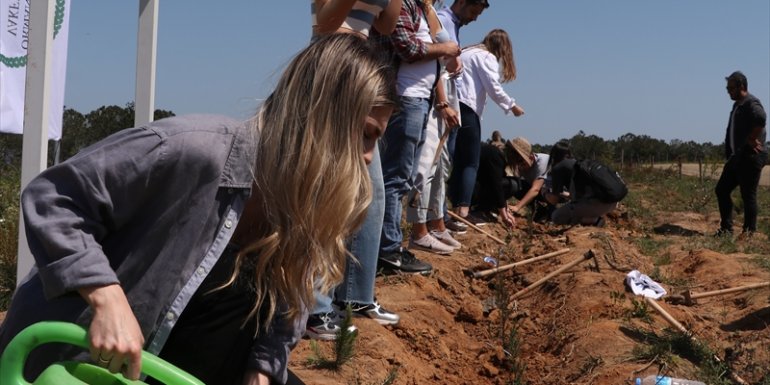 P&G Türkiye'den 35'inci yılında 35 bin ağaç