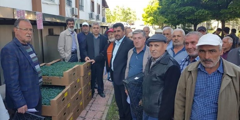 Kale'de çiftçilere sebze fidesi dağıtıldı